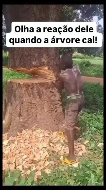 @Ivagno