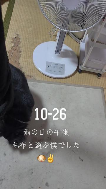 @hiro110