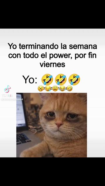@johannagonzalez595