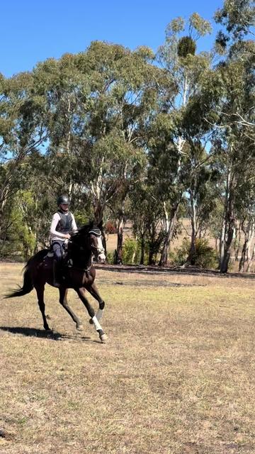 @Lyla_eventing