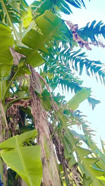 @কষ্টের জীবন আমার😭😭