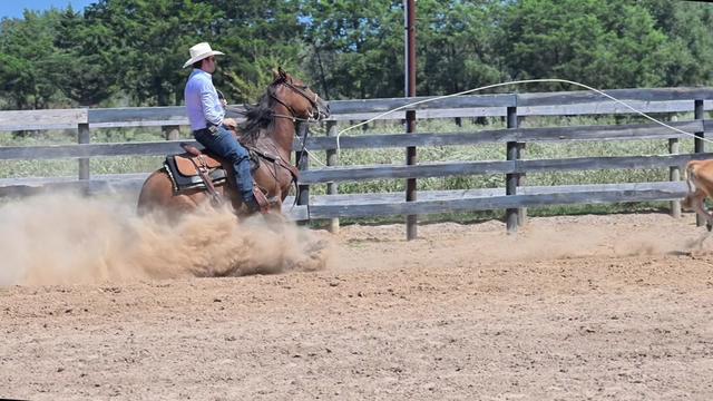@HD Performance Horses