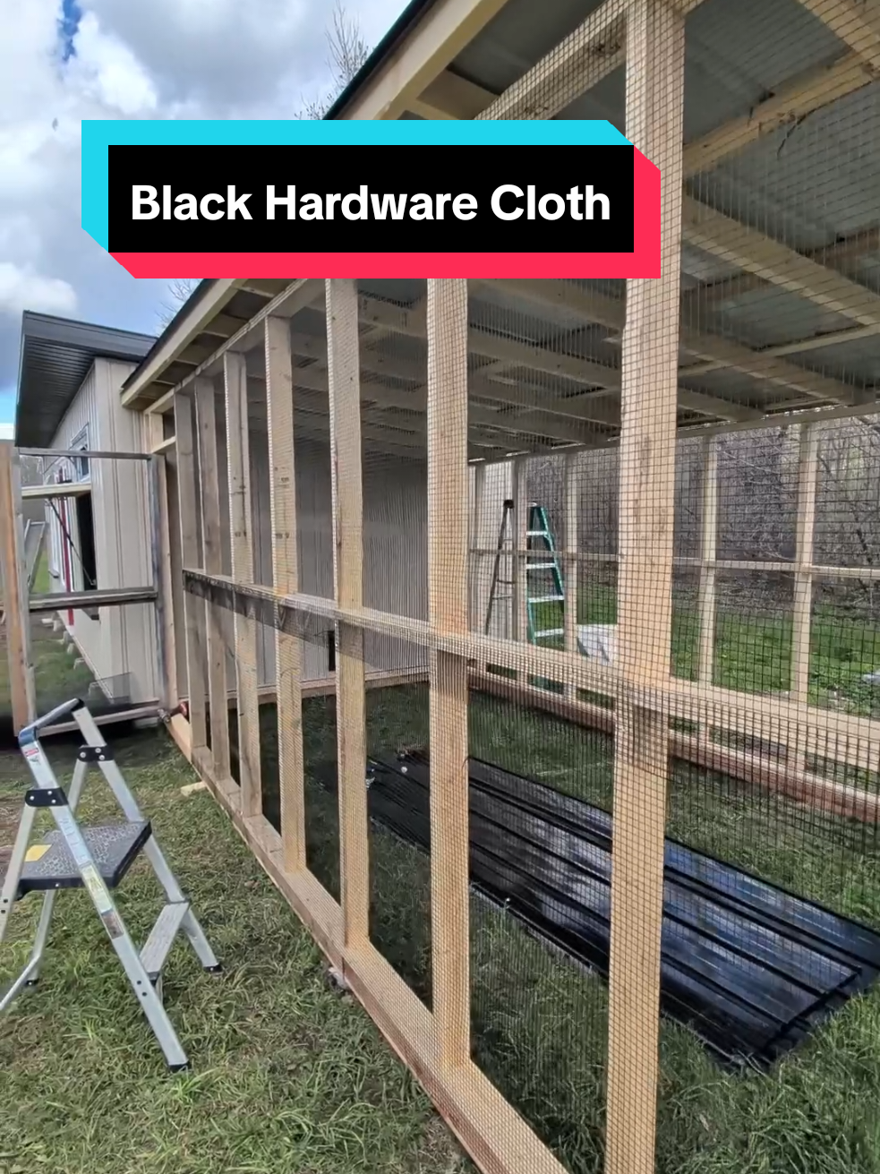 @Modern Homestead