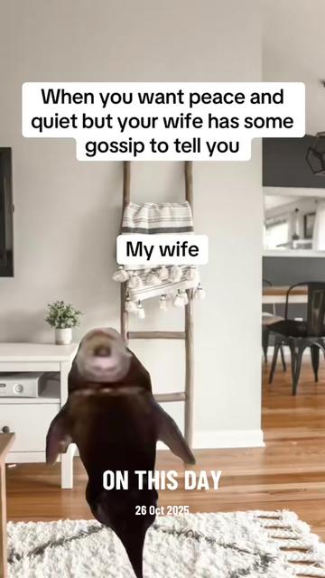 @Green Screen Memes