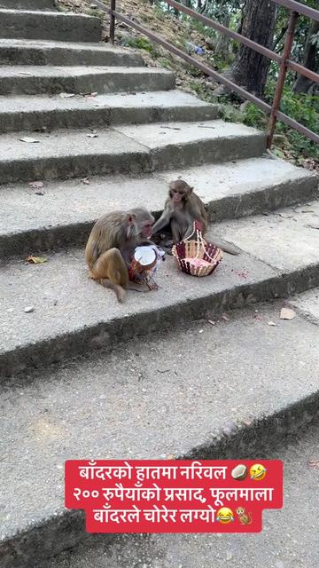 @Khem Sapkota