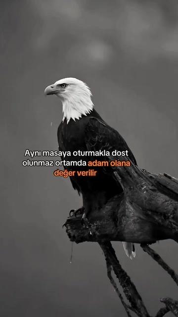 @&ccedil;ılgın 🚴&zwj;♂️🇹🇷🫡