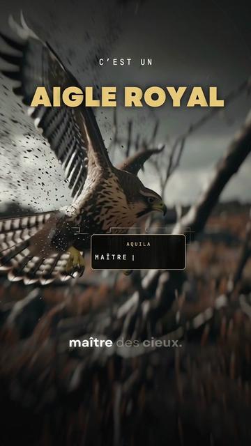 @La Voie de l'Éveil