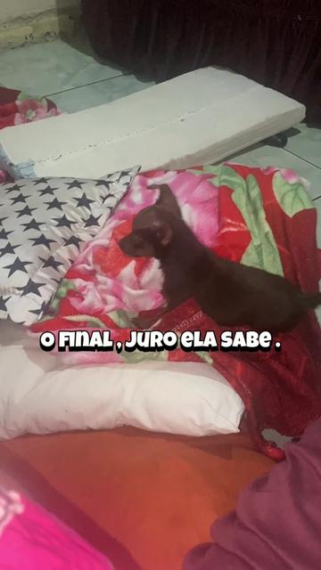@Íris silva 