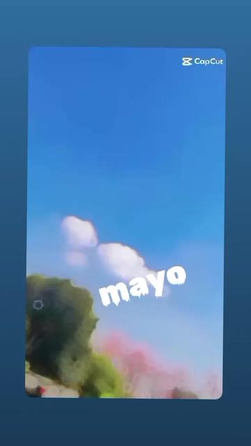 @Naveed Mayo