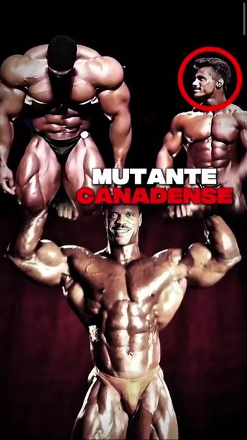 @RATÃO BODYBUILDING