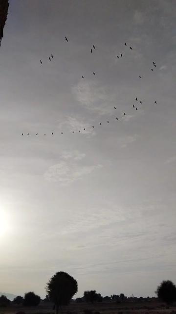 @غیرتی جانان