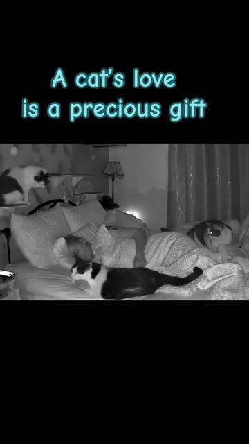 @romina.owned.by.cats