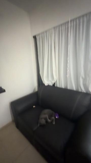 @Karla Caballero Locutora