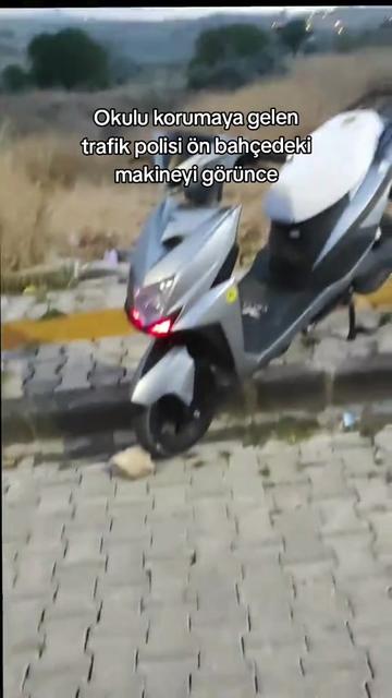 @𝕬𝖑𝖕𝖊𝖗𝖊𝖓 𝖉𝖔𝖌̆𝖆𝖓