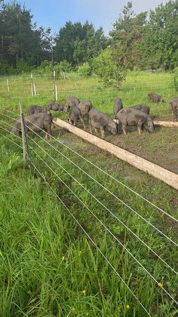 @DelaterrePermacultureFarm
