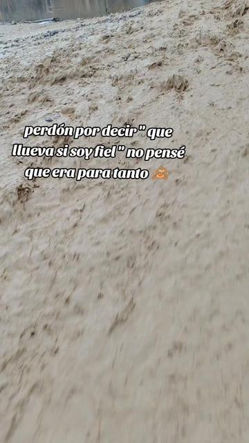 @sindryta