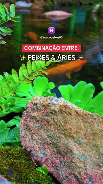 @soudepeixes