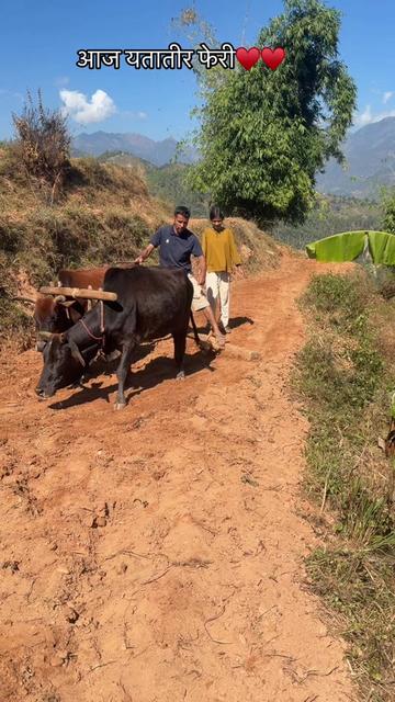 @meenu Rijal Adhikari