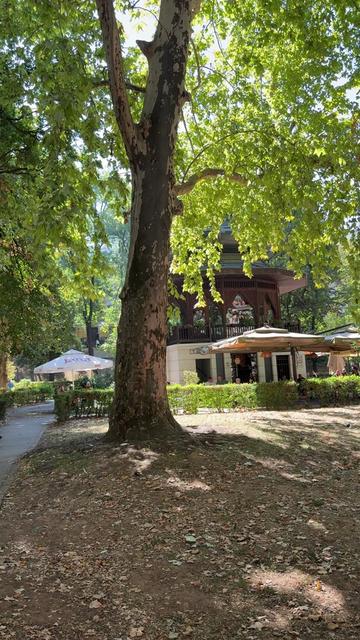 @Rigon Grimoire