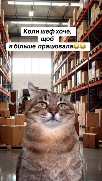 @🌻_Anzhela_🌾