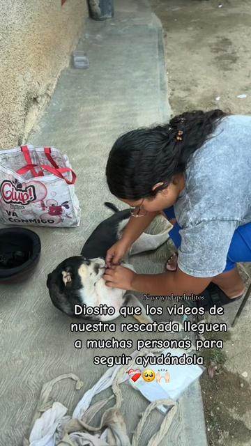 @NayeAyudaPeluditos