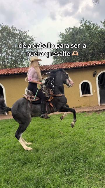 @PMGA
