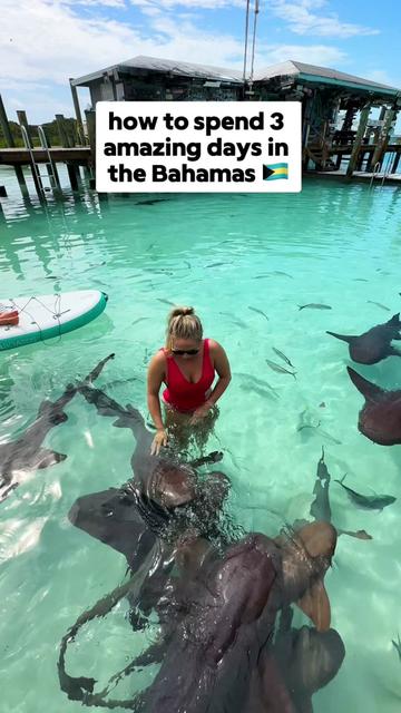 @Natasha Travels 🌍