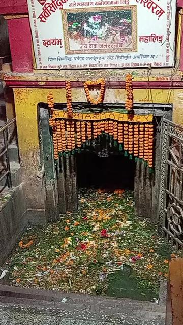 @rekha gupta