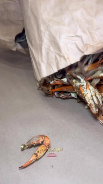 @Crabplug’s