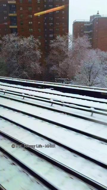 @RORGIE PORGIE