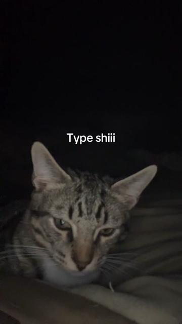 @Taka