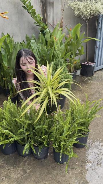 @Tiệm L&aacute; Nhỏ