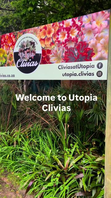 @utopiaclivias