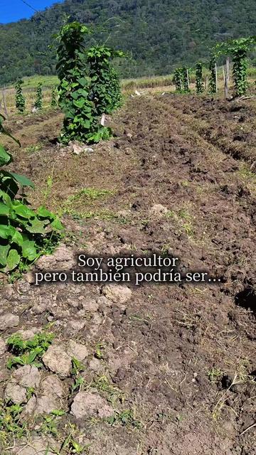 @chayotezoquiteco