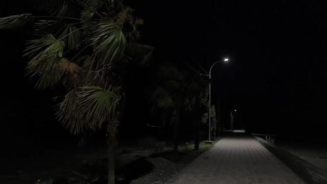 @C u r s e d  L i f e
