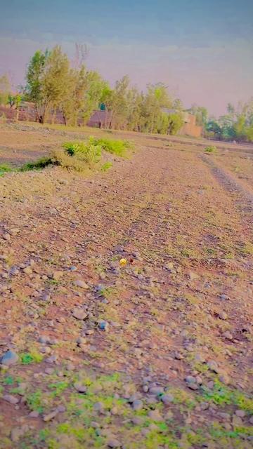 @💪☠️KHANGAR AFRIDI🥷🤬