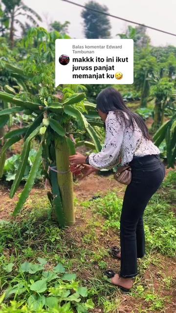 @Mbak pom🤪