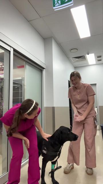 @James Street Vet