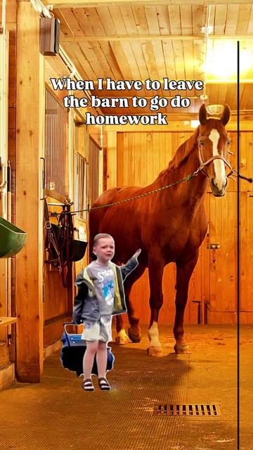 @Young Rider