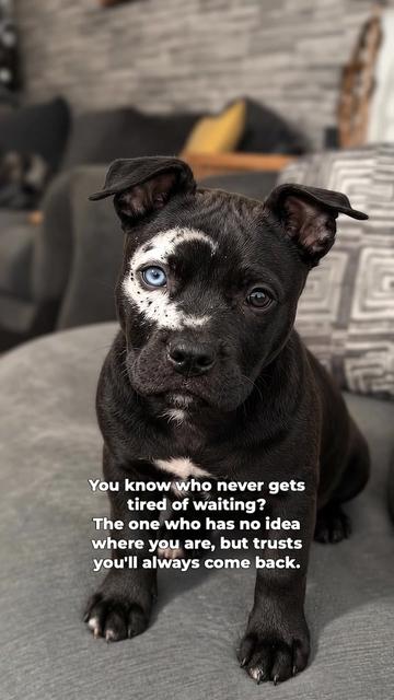 @moonfetches