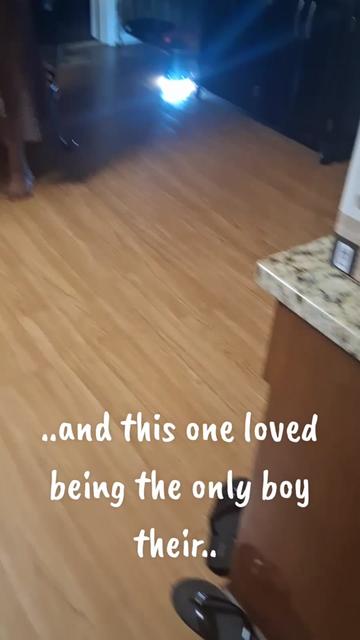 @Auntiebaby216