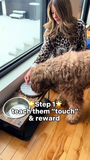 @Dogs Made Simple