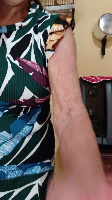 @dilzarodrigues657