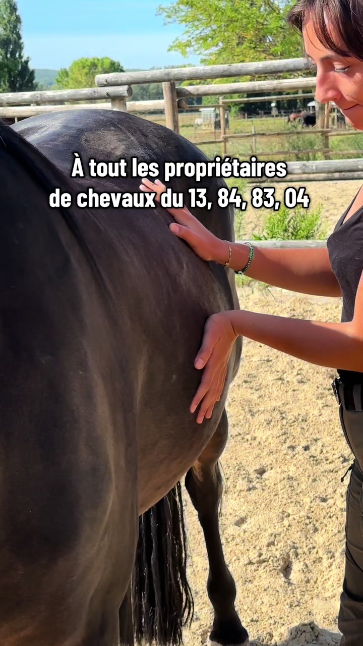 @Hannah ostéopathie animale 🐎