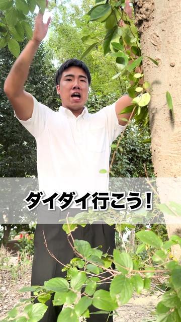 @ジャンキソウ🐺