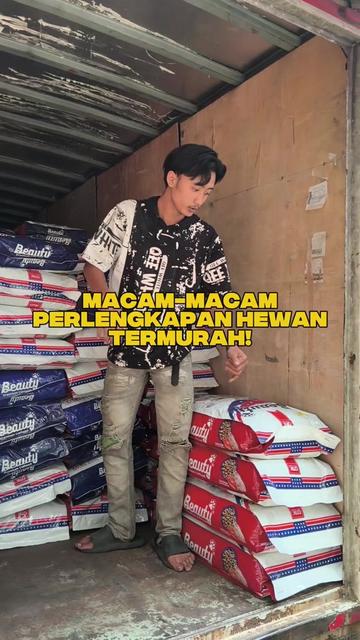 @bejo petmart