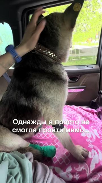 @marochkinaelena