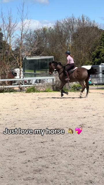 @TDDG Equestrian