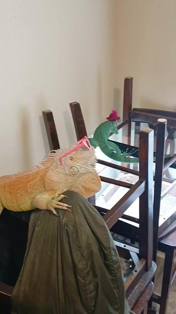 @Jimmy4 🦖