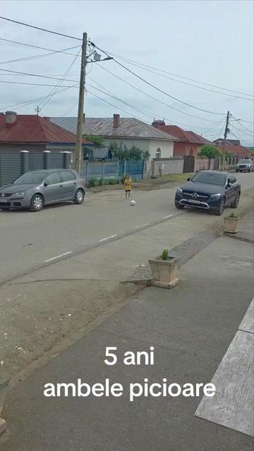 @Zian Leuţul Sudului
